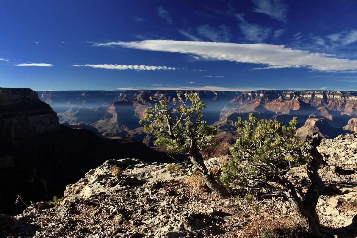 maricopa point  grand canyon village
